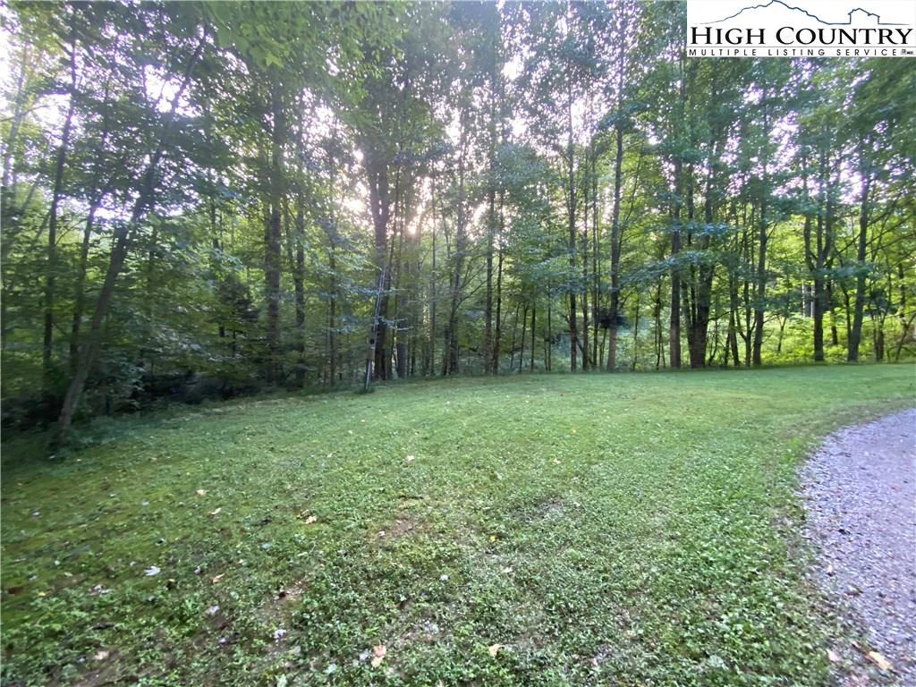 Image number 14 for the current listing