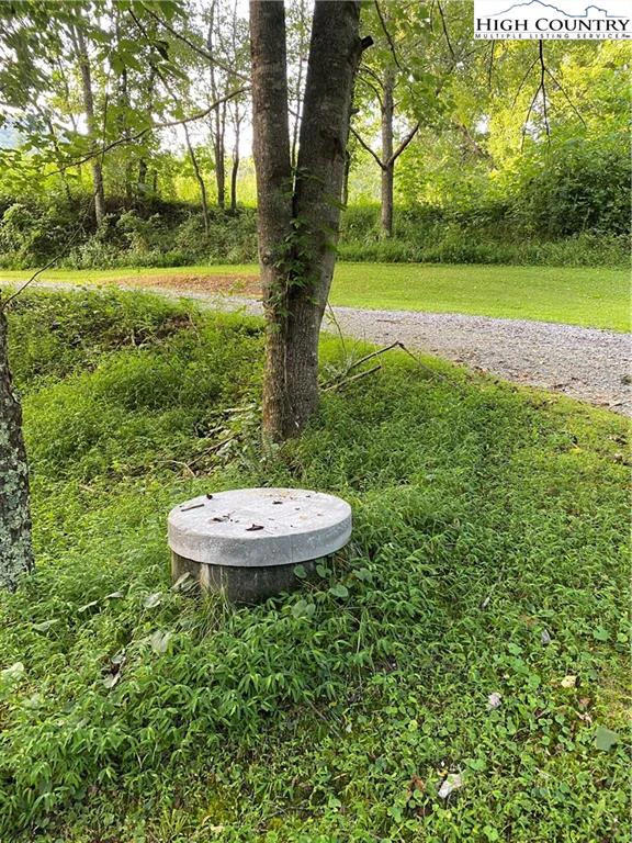 Image number 11 for the current listing