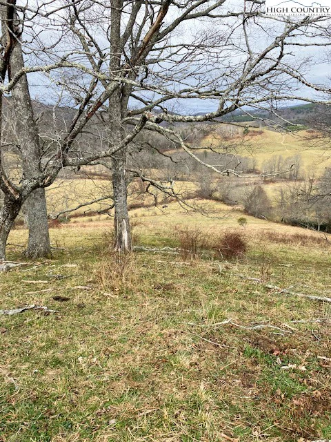 Image number 13 for the current listing