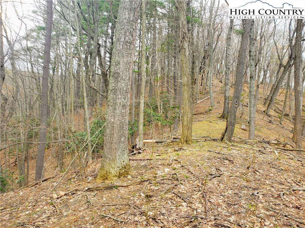 Image number 20 for the current listing