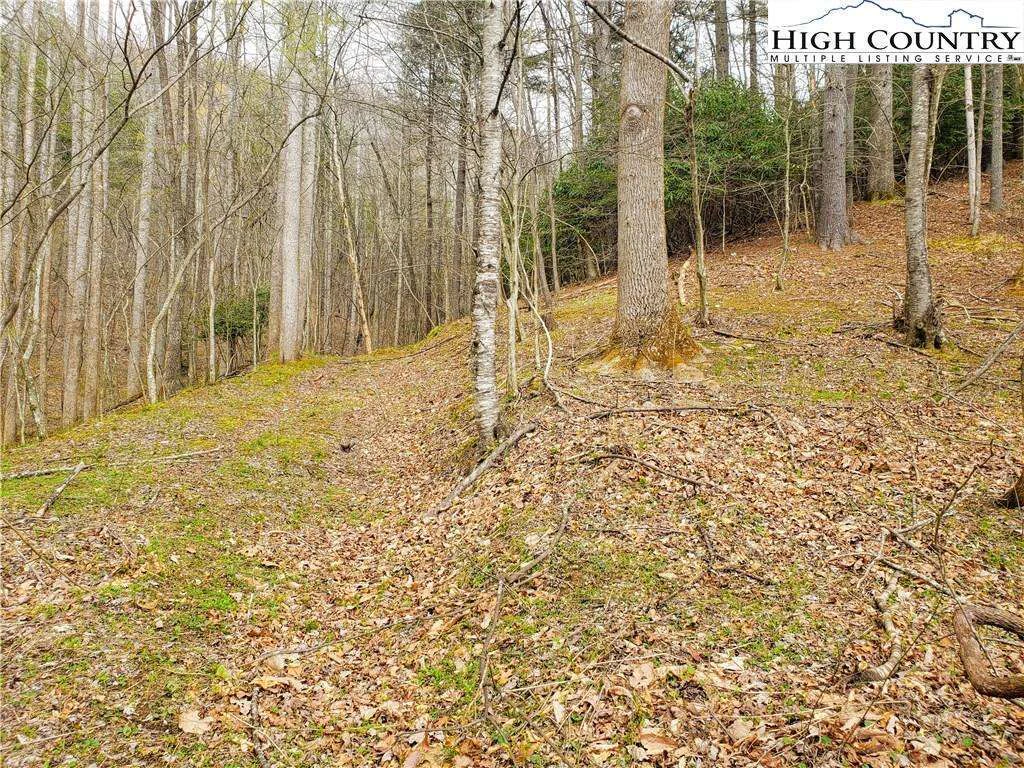 Image number 19 for the current listing