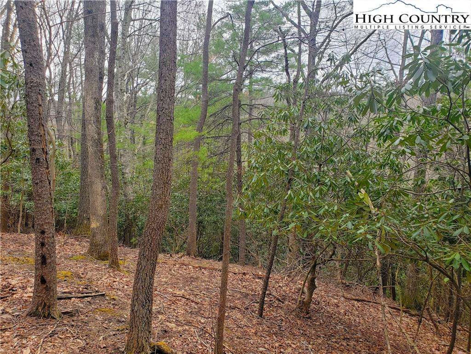 Image number 21 for the current listing