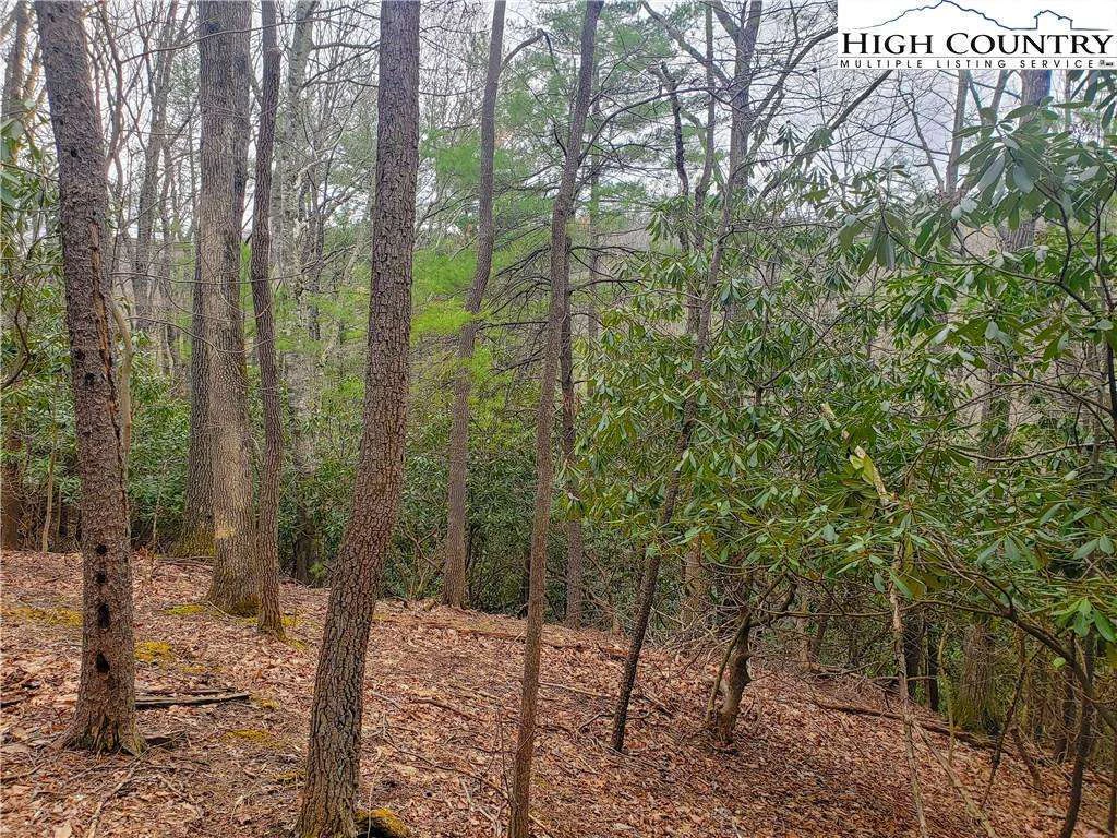 Image number 21 for the current listing