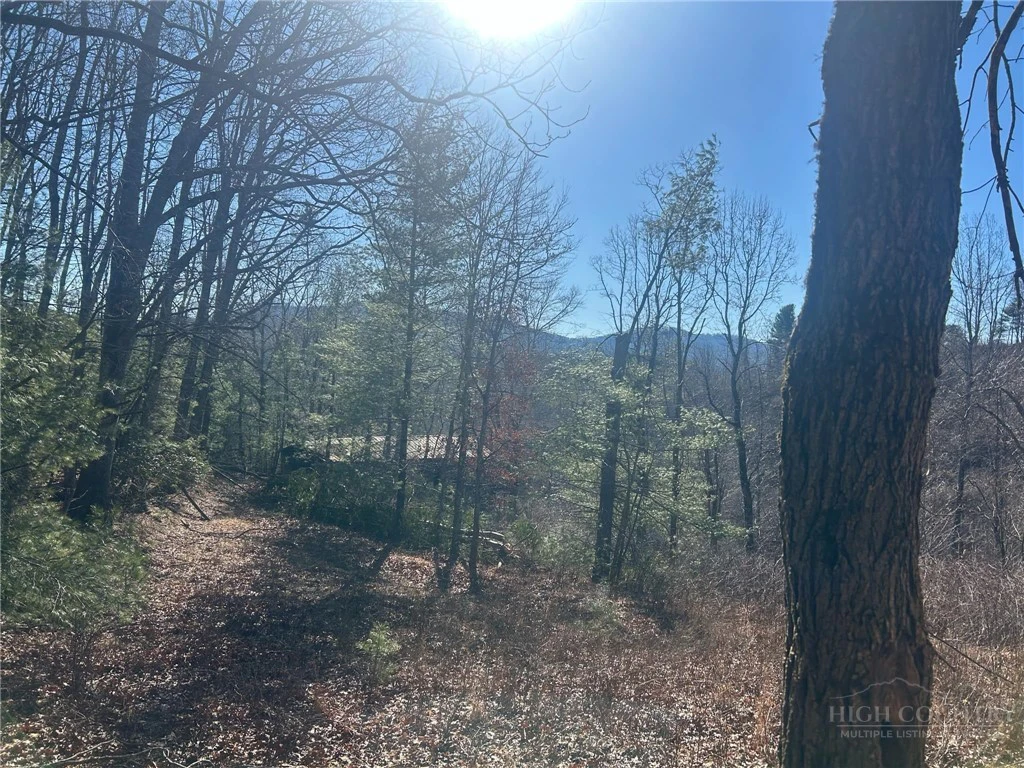 Image number 1 for the current listing