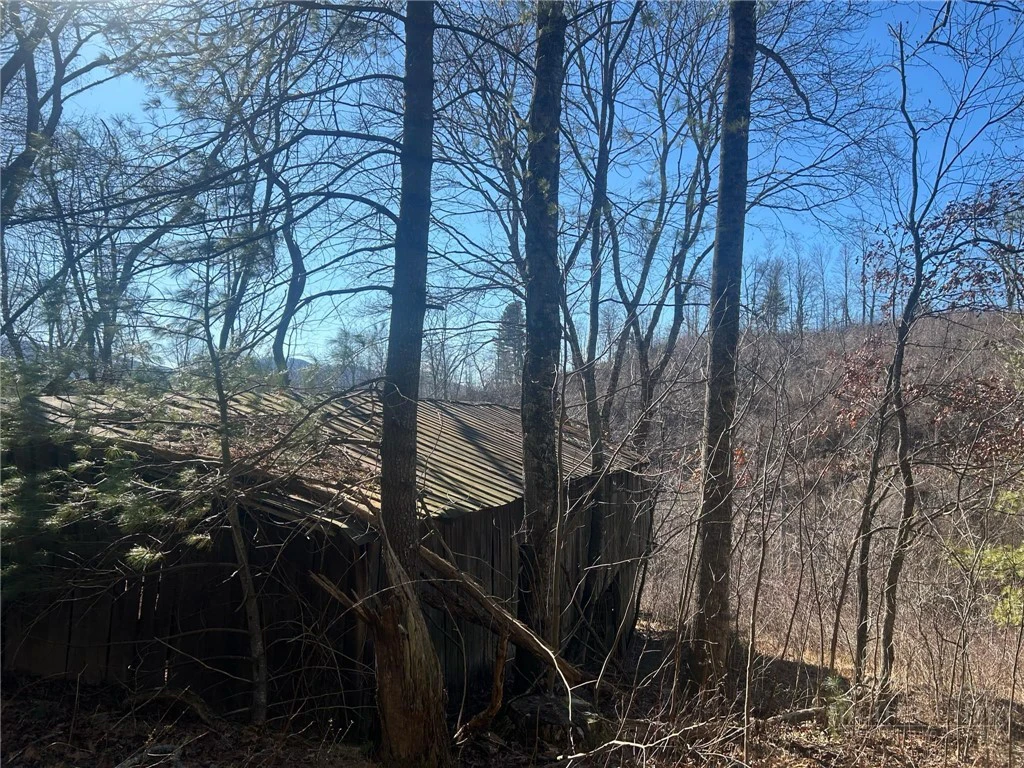 Image number 11 for the current listing