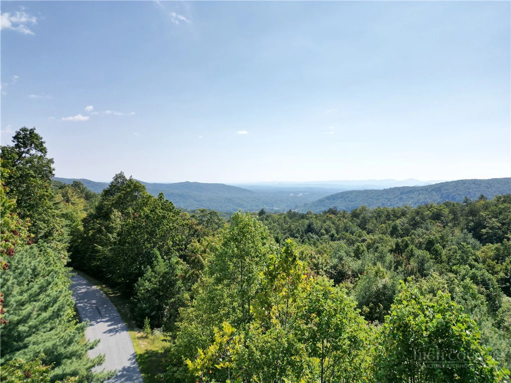 Image number 2 for the current listing