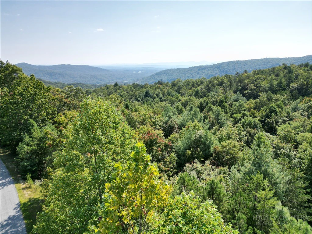 Image number 3 for the current listing