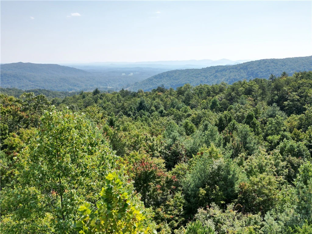 Image number 4 for the current listing