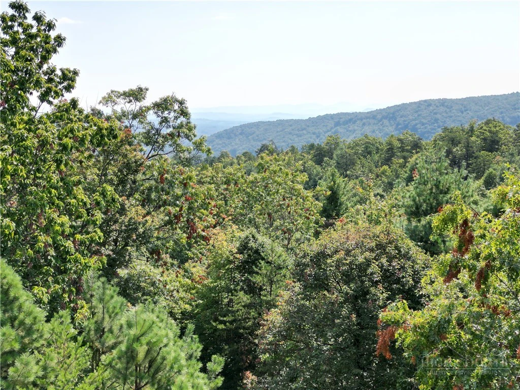Image number 5 for the current listing