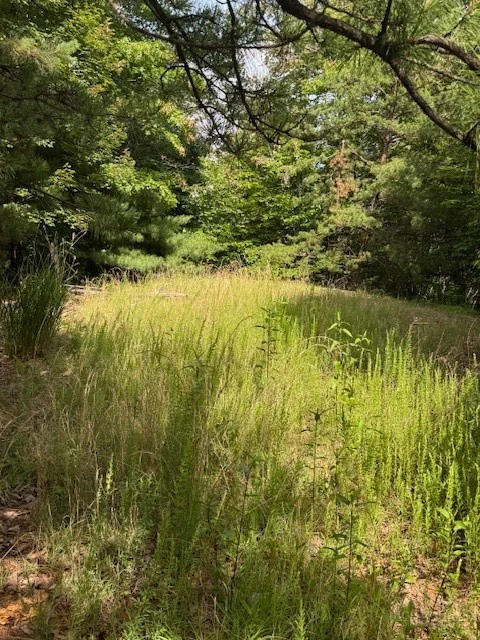 Image number 8 for the current listing