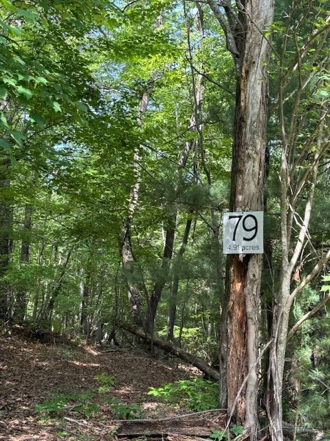 Image number 9 for the current listing