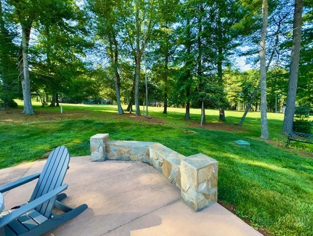 Image number 11 for the current listing