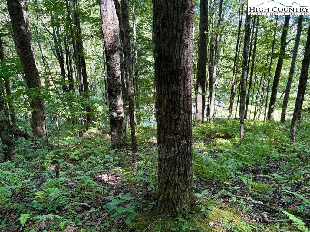 Image number 18 for the current listing