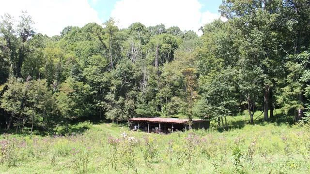 Image number 8 for the current listing