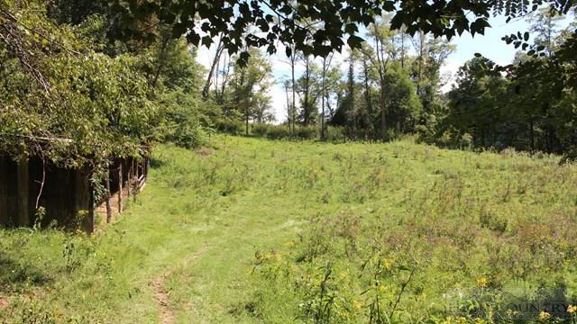 Image number 10 for the current listing