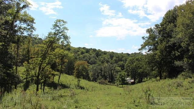Image number 11 for the current listing
