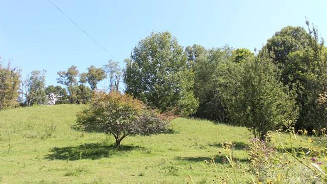 Image number 2 for the current listing
