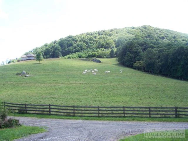 Image number 5 for the current listing