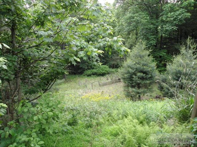 Image number 3 for the current listing