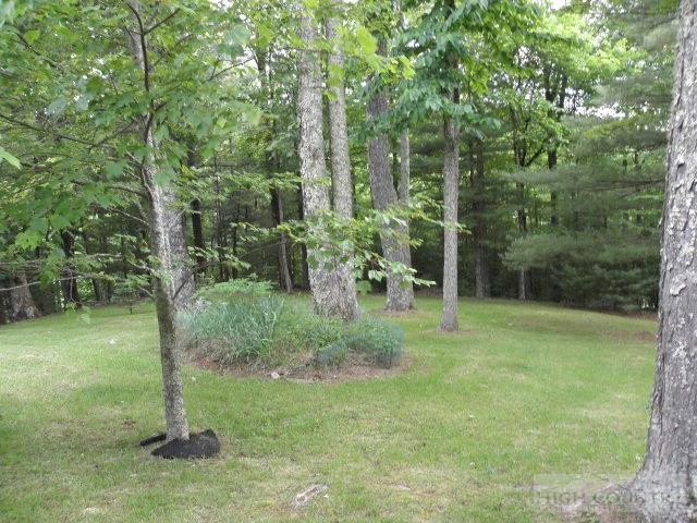 Image number 6 for the current listing