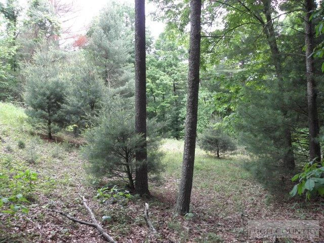 Image number 2 for the current listing