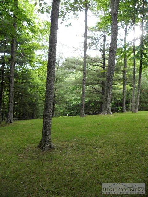 Image number 11 for the current listing