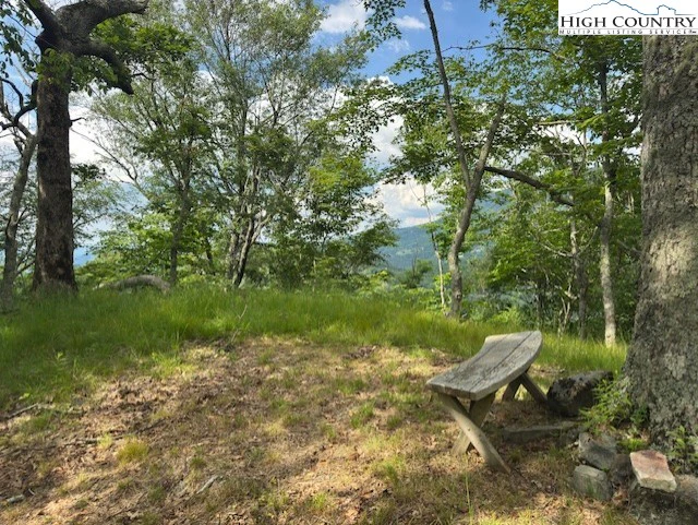 Image number 1 for the current listing