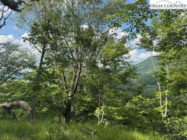 Image number 4 for the current listing