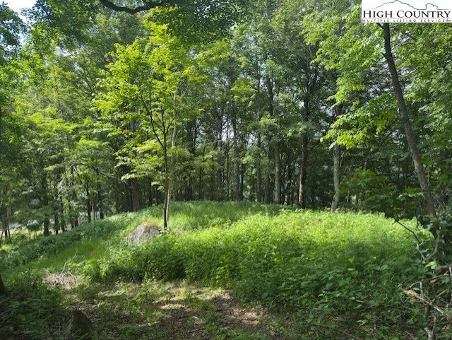 Image number 12 for the current listing