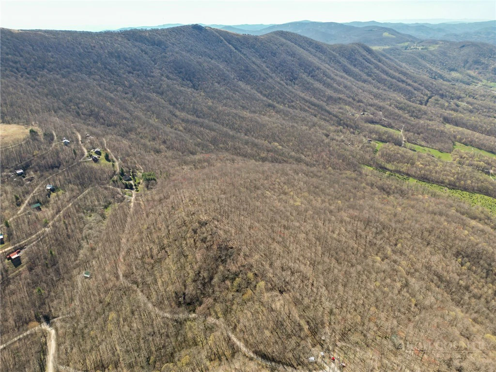 Image number 1 for the current listing