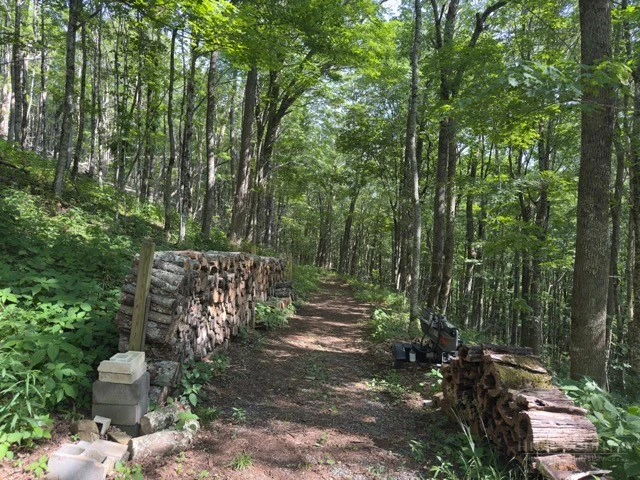 Image number 3 for the current listing