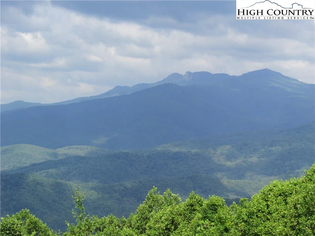Image number 1 for the current listing