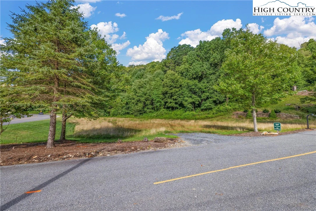 Image number 9 for the current listing