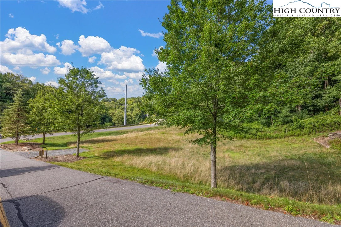 Image number 3 for the current listing