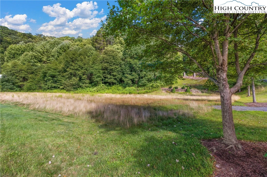 Image number 12 for the current listing