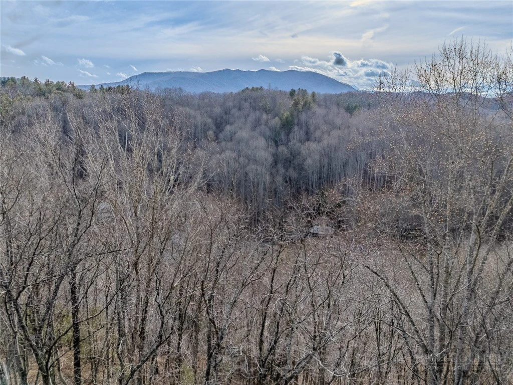 Image number 2 for the current listing