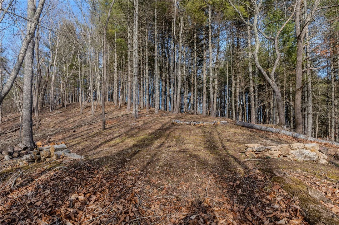Image number 11 for the current listing