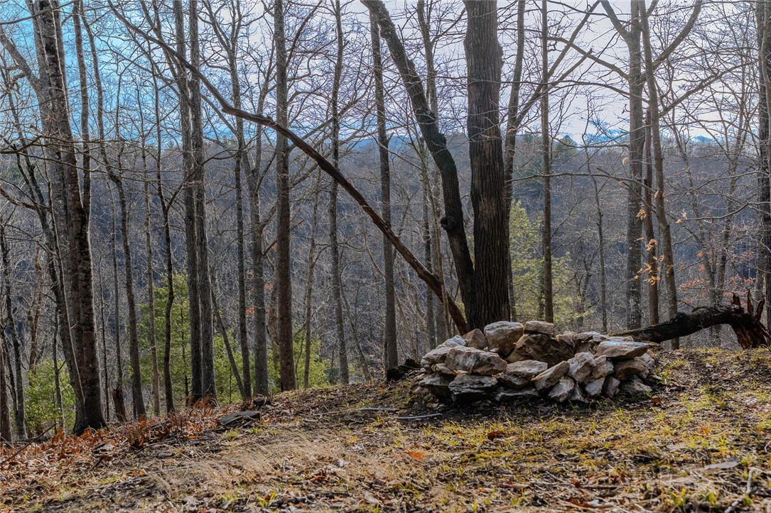 Image number 10 for the current listing