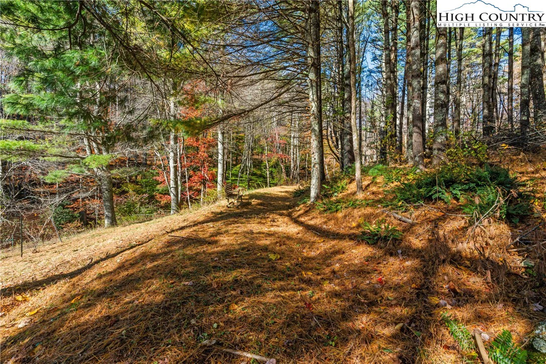 Image number 10 for the current listing