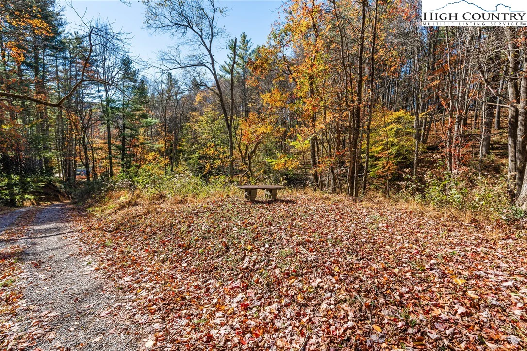Image number 2 for the current listing