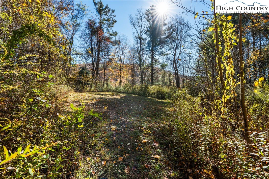 Image number 12 for the current listing