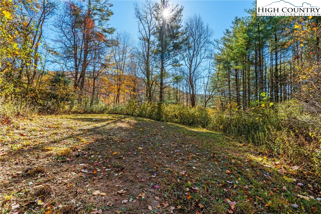 Image number 13 for the current listing