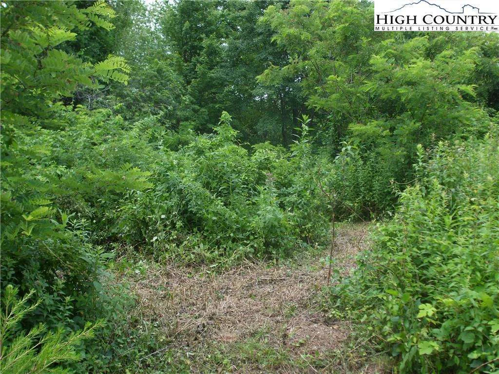 Image number 2 for the current listing