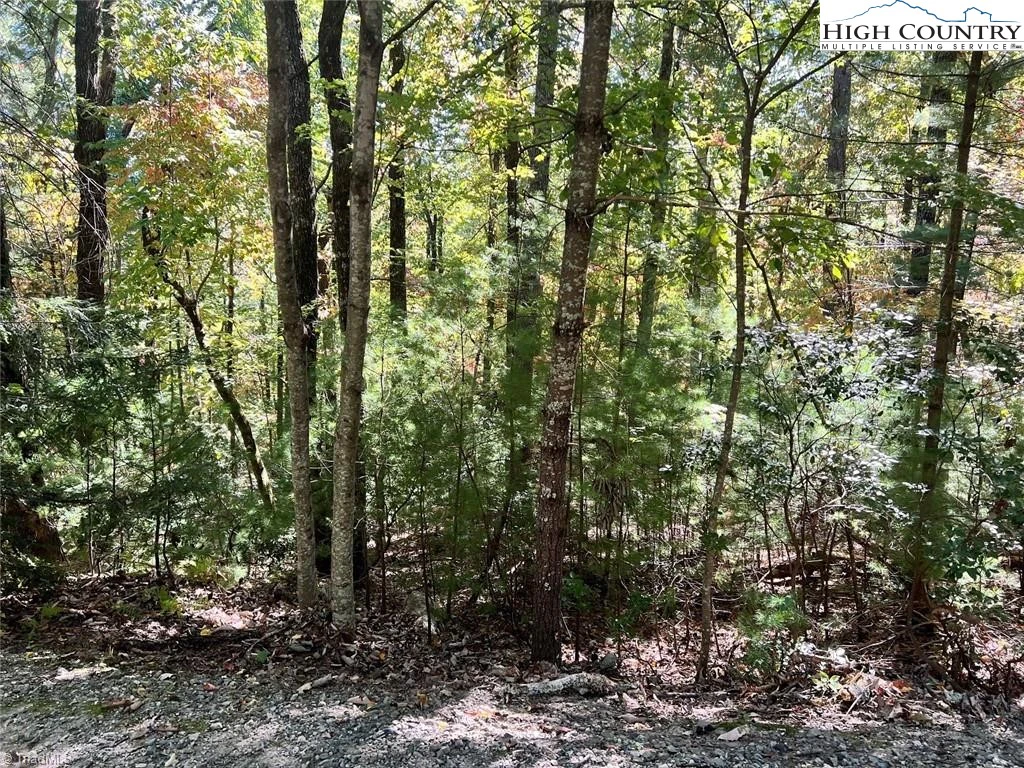 Image number 1 for the current listing