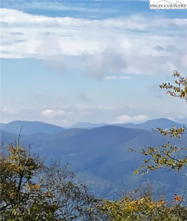 Image number 1 for the current listing