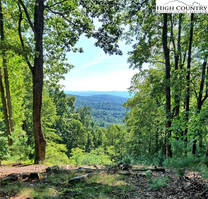 Image number 18 for the current listing
