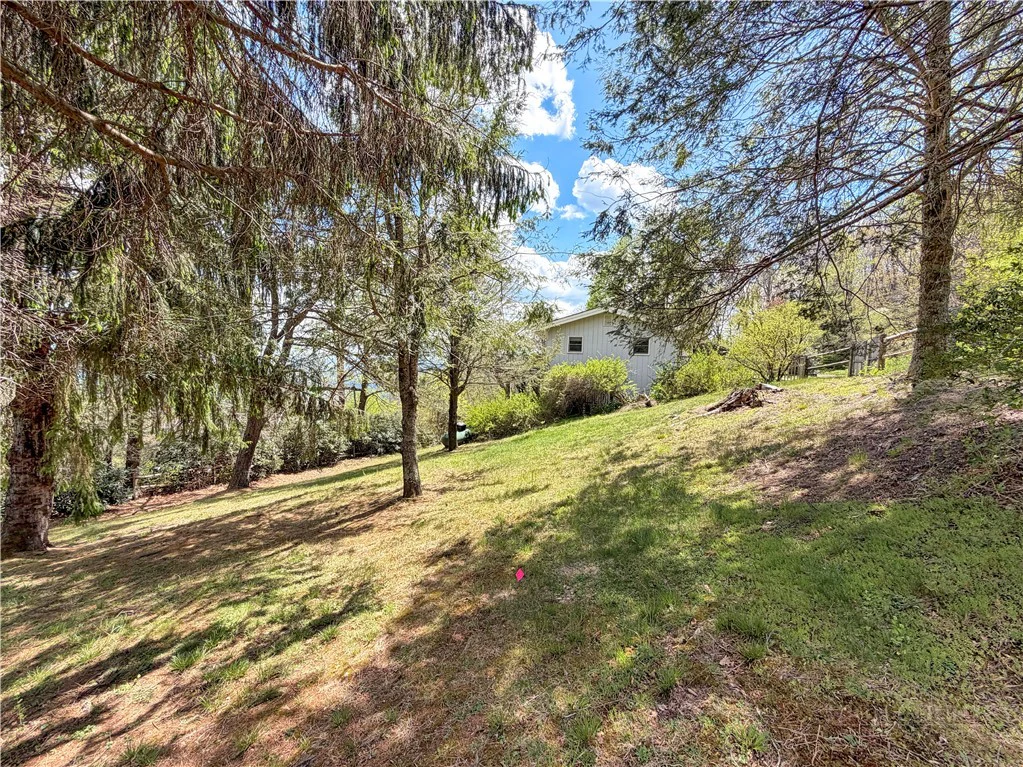 Image number 13 for the current listing