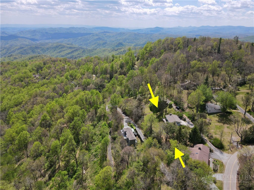 Image number 7 for the current listing