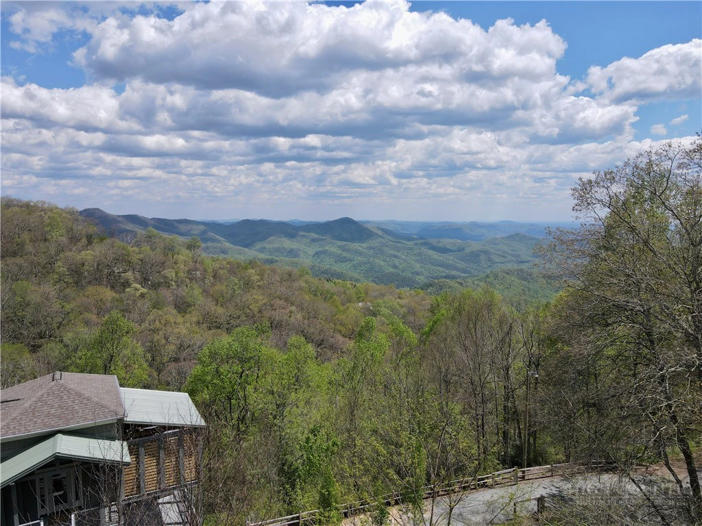 Image number 4 for the current listing