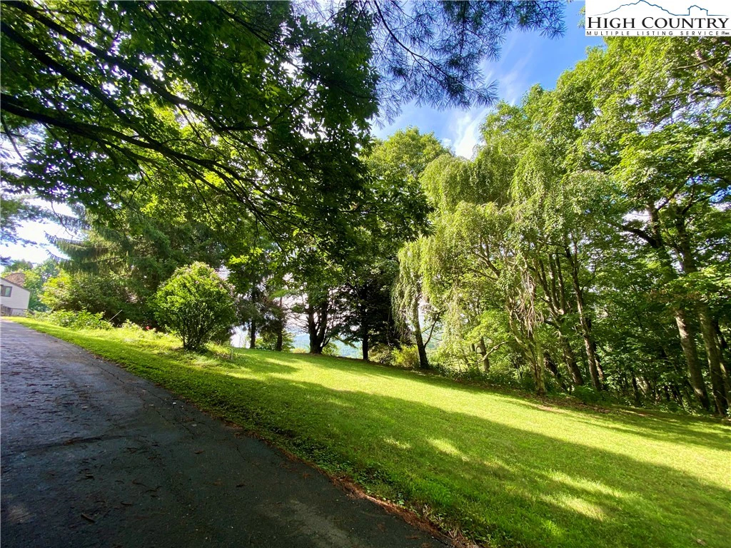 Image number 14 for the current listing